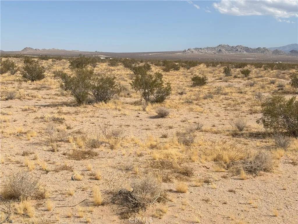 Lucerne Valley, CA 92356,0 Saxon