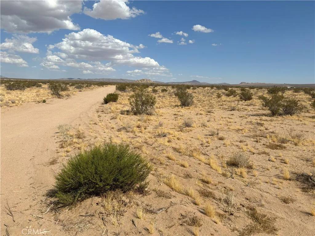 Lucerne Valley, CA 92356,0 Saxon