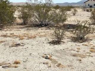 29 Palms, CA 92277,0 Persia Ave