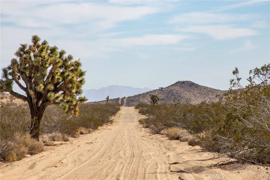 Landers, CA 92284,58300 Luna Vista