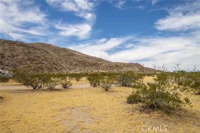 Joshua Tree, CA 92252,4225 Benji