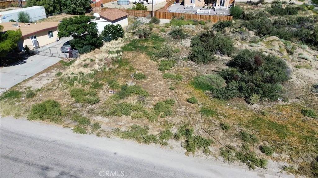 Morongo Valley, CA 92256,0 Rosella