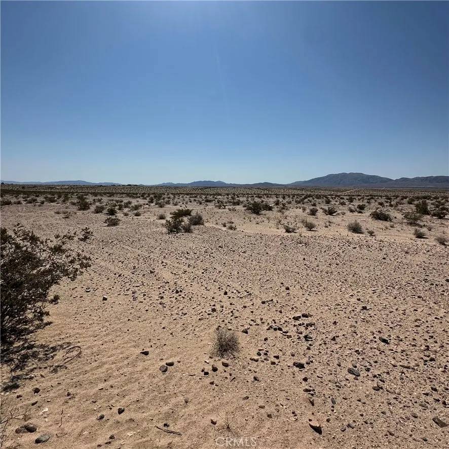29 Palms, CA 92277,1234 Taco