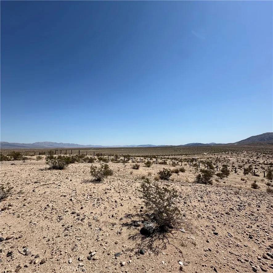 29 Palms, CA 92277,1234 Buena Vista