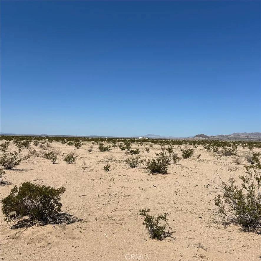 29 Palms, CA 92277,1142 Samarkand