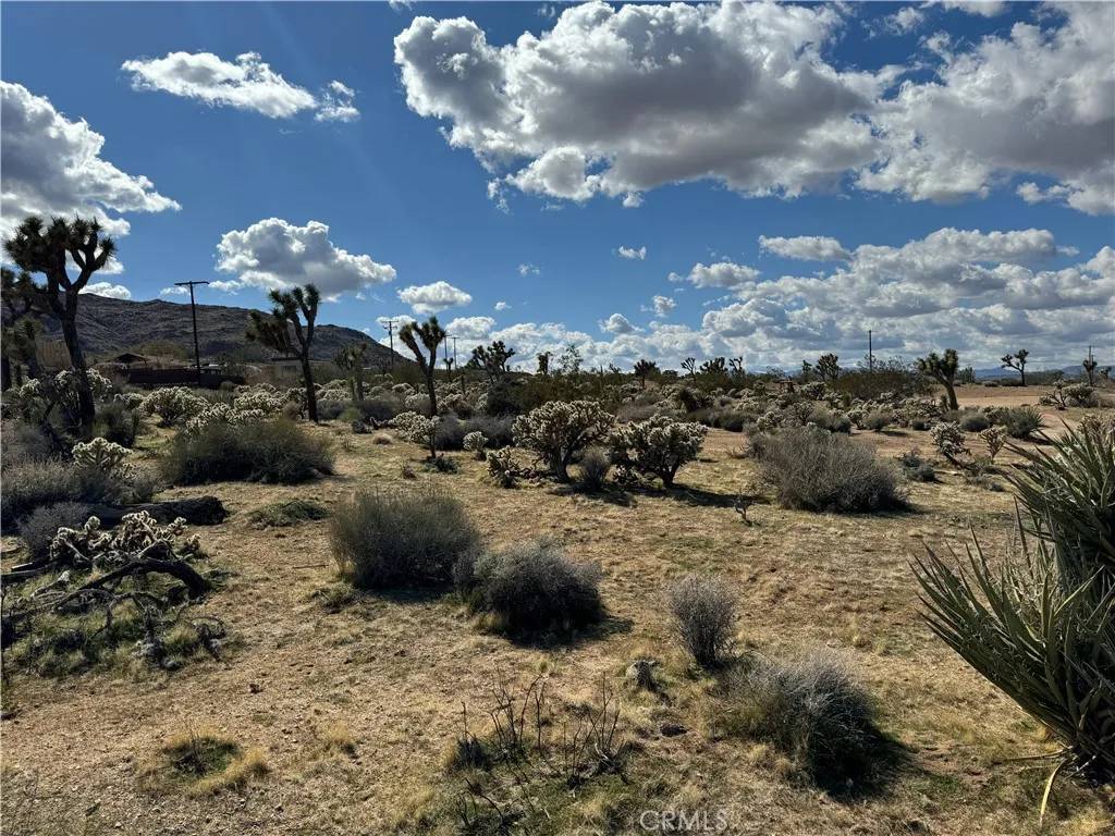 Joshua Tree, CA 92252,7654 Vista