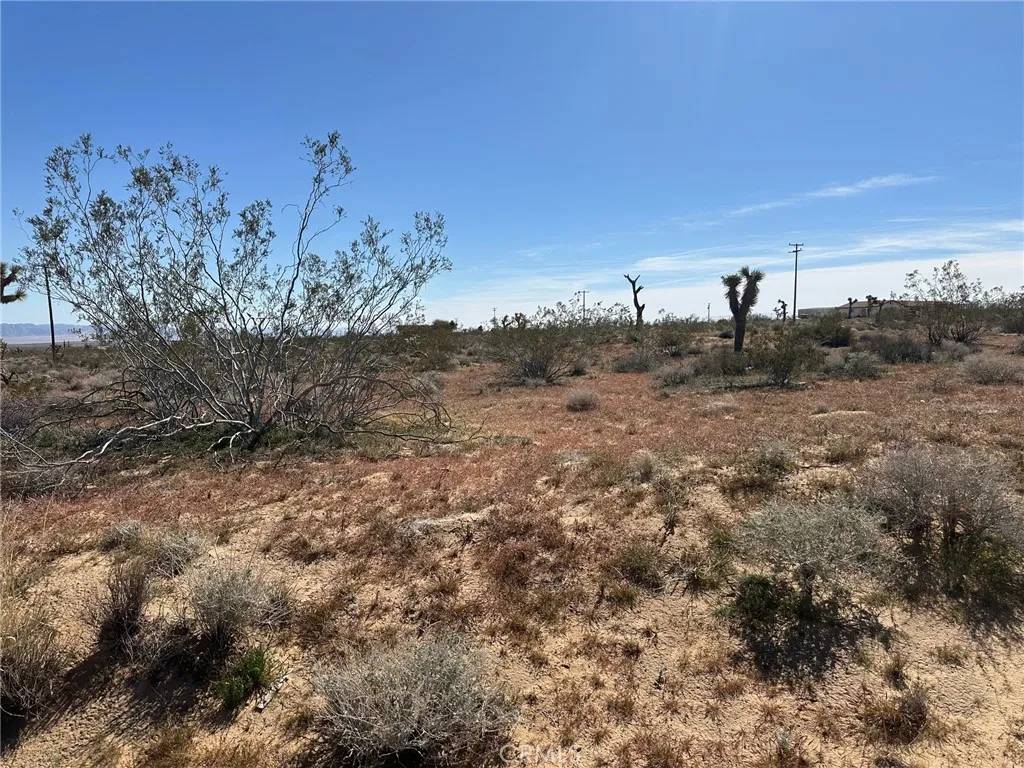 Landers, CA 92285,329 Anita