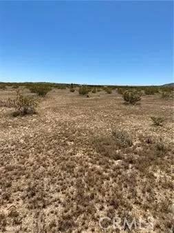 Landers, CA 92284,0 Fetlock