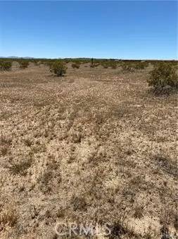 Landers, CA 92285,900 Fetlock Road