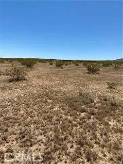 Landers, CA 92285,900 Fetlock Road
