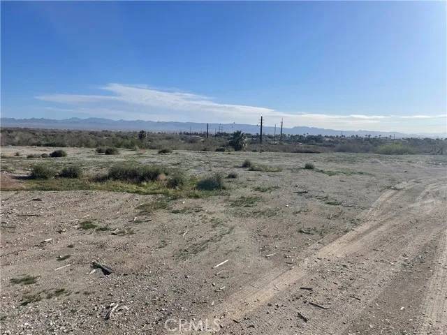 Needles, CA 92363,0 Bush