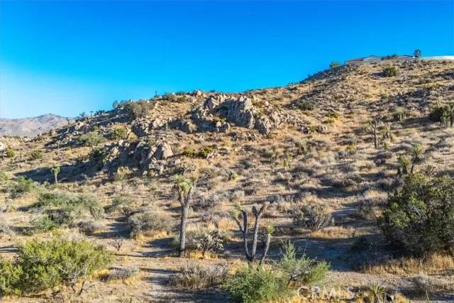Yucca Valley, CA 92284,596 Buena Suerte