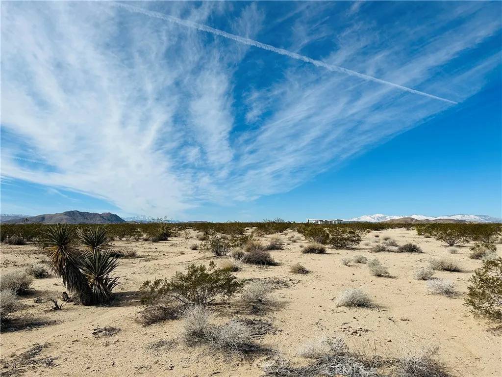 Joshua Tree, CA 92252,1234 Desert Lily