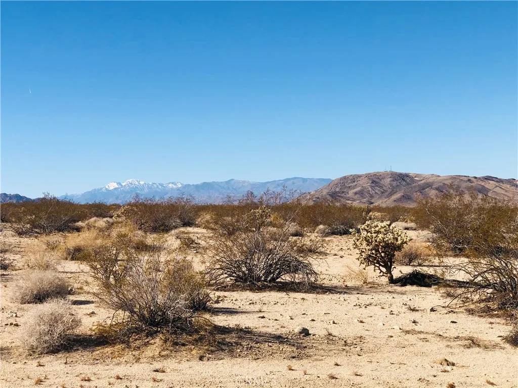 29 Palms, CA 92277,5 Appian