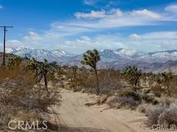Joshua Tree, CA 92252,0 Melton
