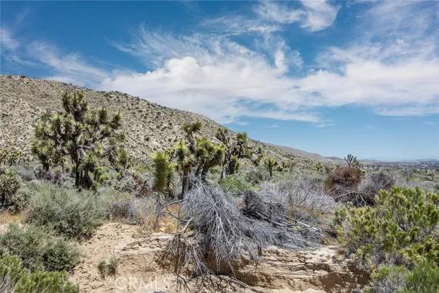 Yucca Valley, CA 92284,54129 Pinon