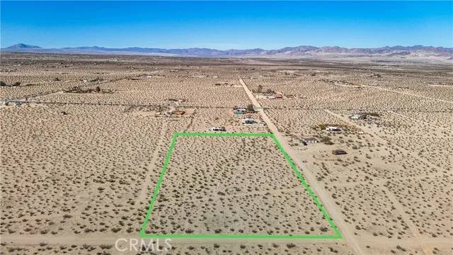 29 Palms, CA 92277,1 Nandina