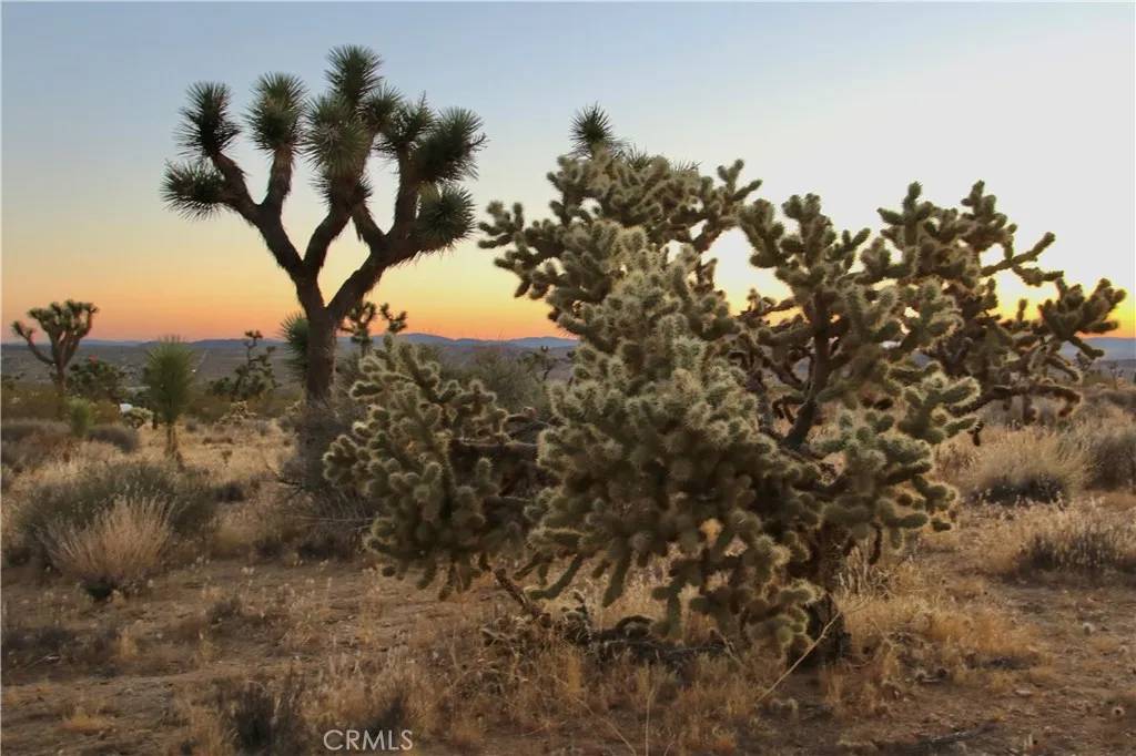 Joshua Tree, CA 92284,7635 La Contenta