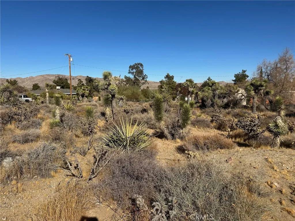 Yucca Valley, CA 92284,56434 Desert Gold