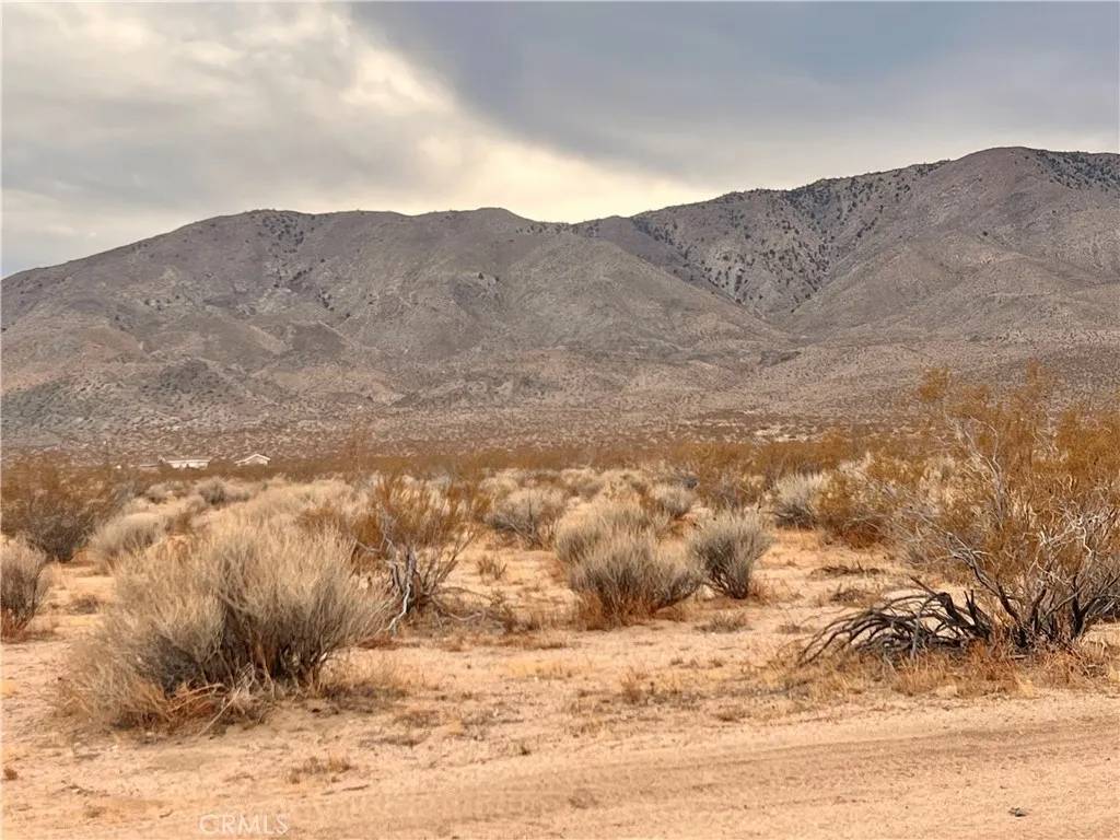 Johnson Valley, CA 92285,0 Ocotillo