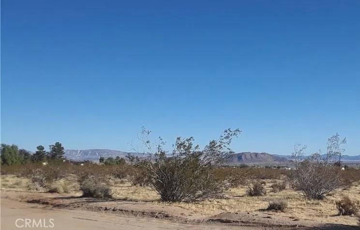 Yucca Valley, CA 92284,345 Deer