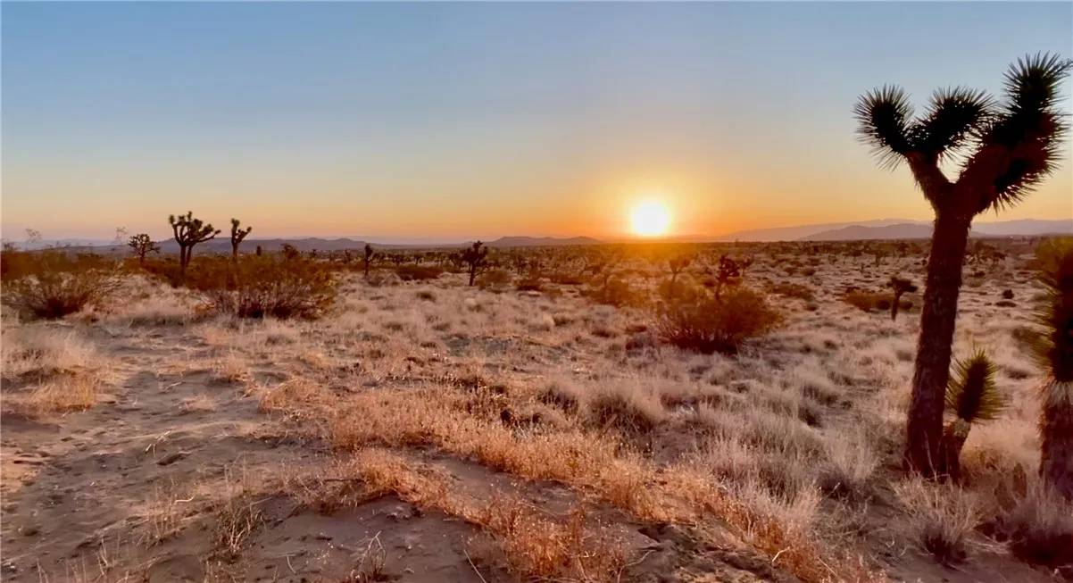 Yucca Valley, CA 92284,777 La Brisa