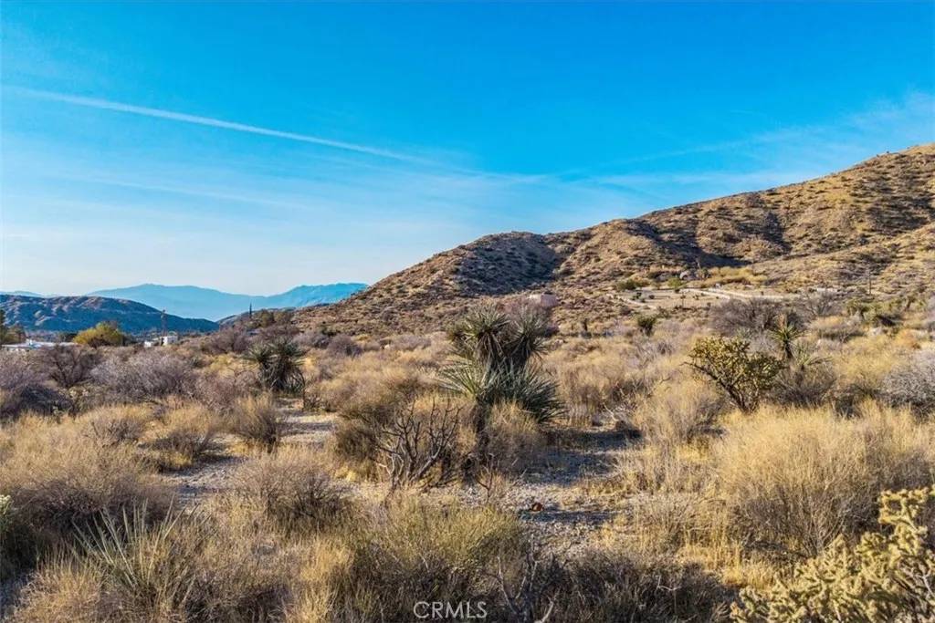 Morongo Valley, CA 92256,0 Palo Verde