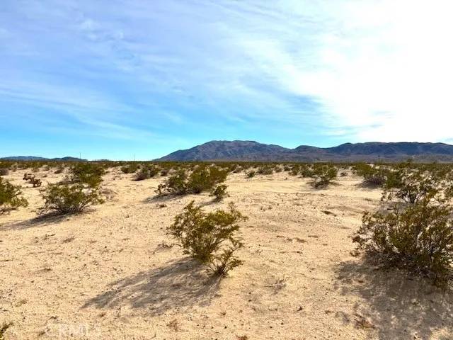 29 Palms, CA 92277,0 Primrose