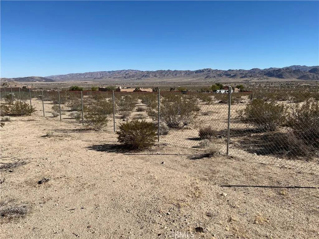 Joshua Tree, CA 92252,0 Cypress