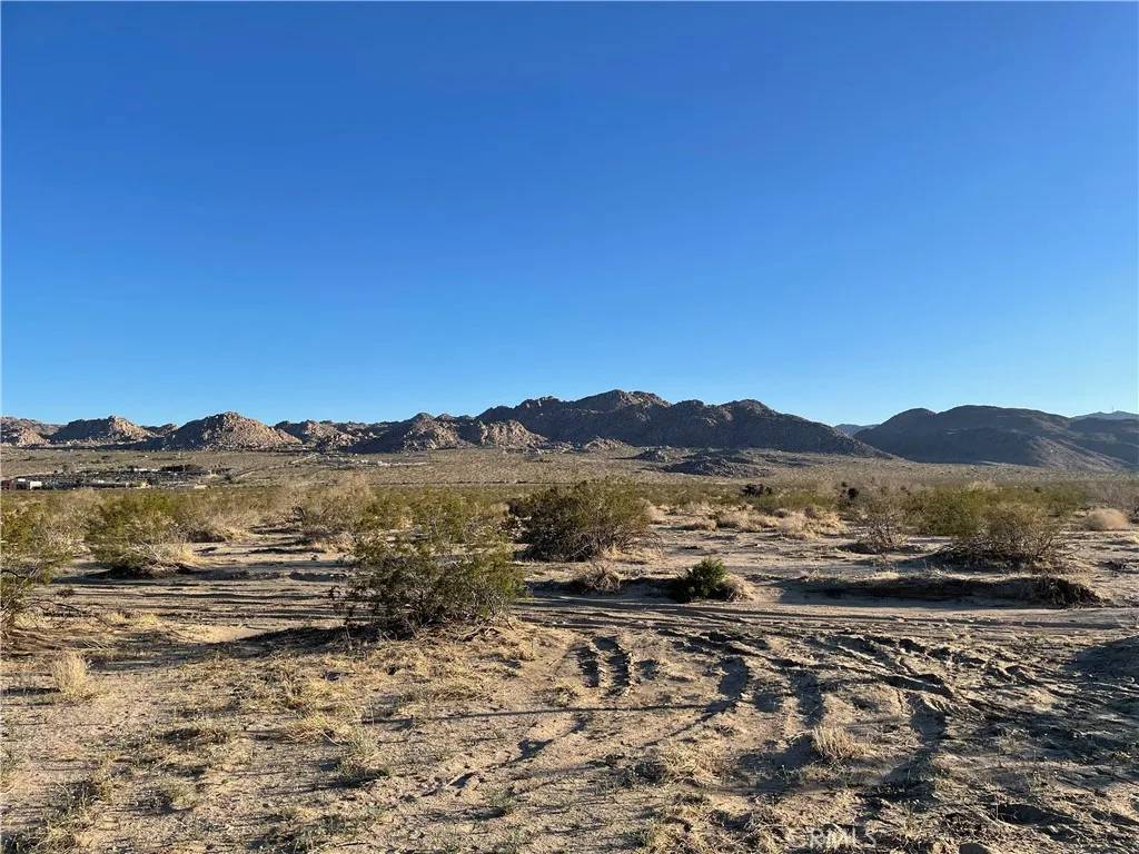Joshua Tree, CA 92252,1234 Rice