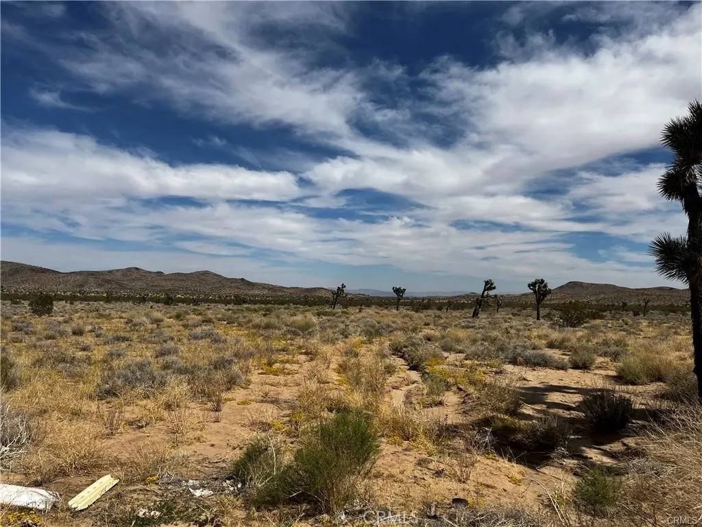 Yucca Valley, CA 92284,0 Avalon