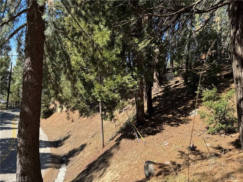 Twin Peaks, CA 92391,0 North