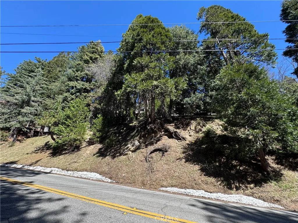 Twin Peaks, CA 92391,0 North