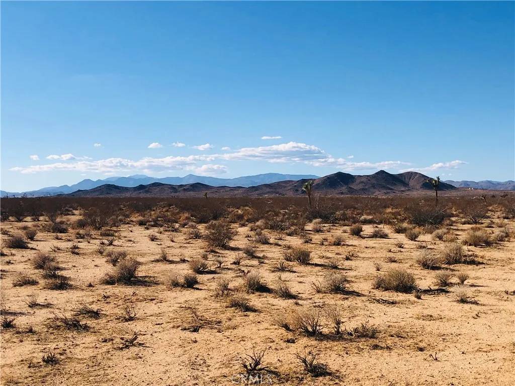 Joshua Tree, CA 92252,2 Venus