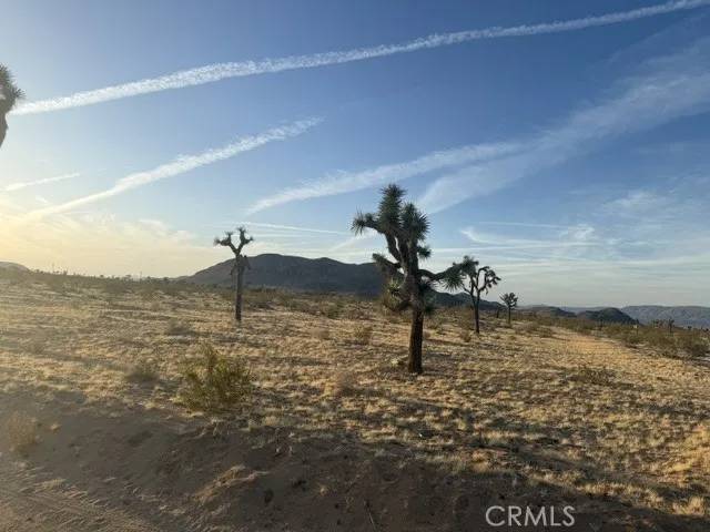 Landers, CA 92285,59860 Stearman