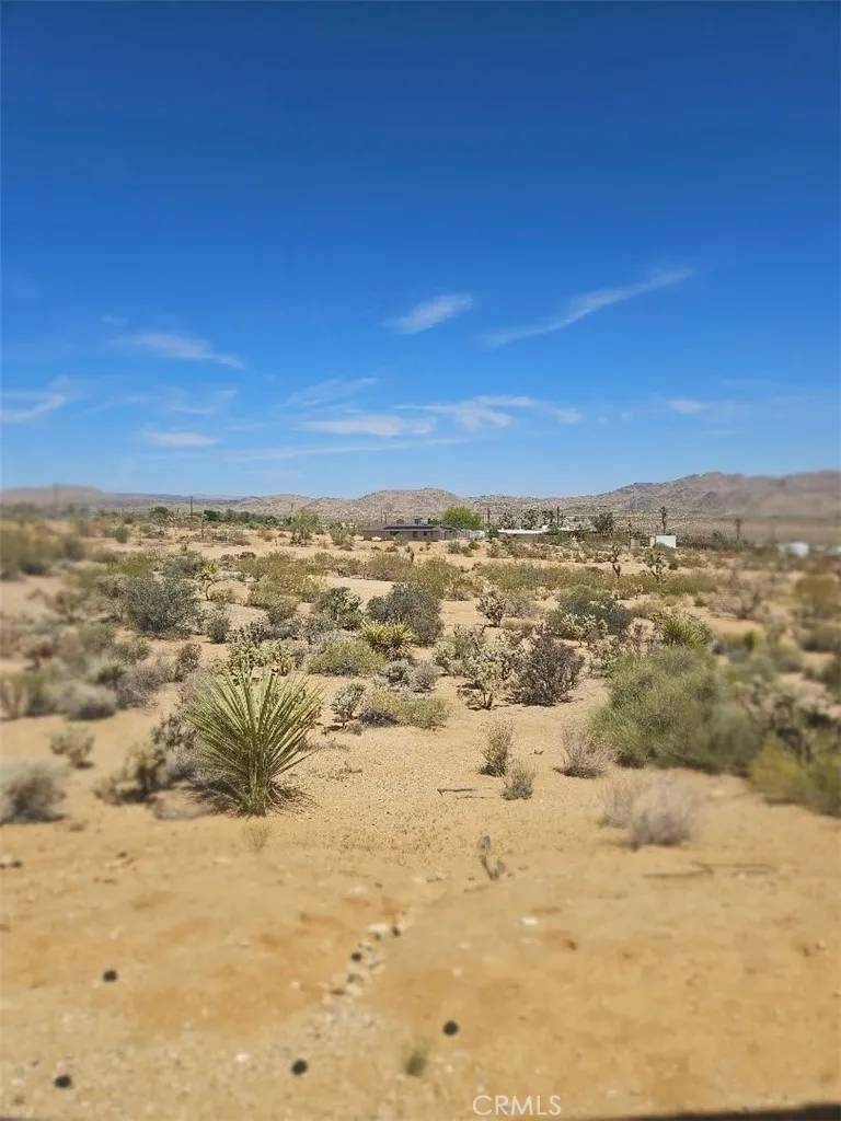 Joshua Tree, CA 92252,61391 Alta Vista Drive