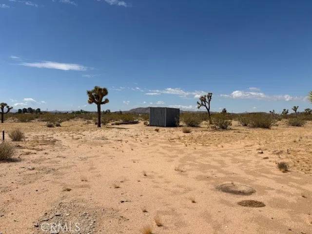 Landers, CA 92284,1 Mitch