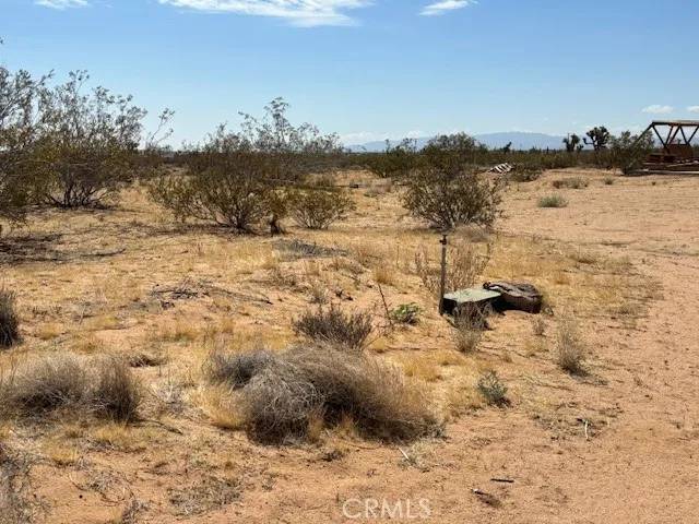 Landers, CA 92284,0 Mitch