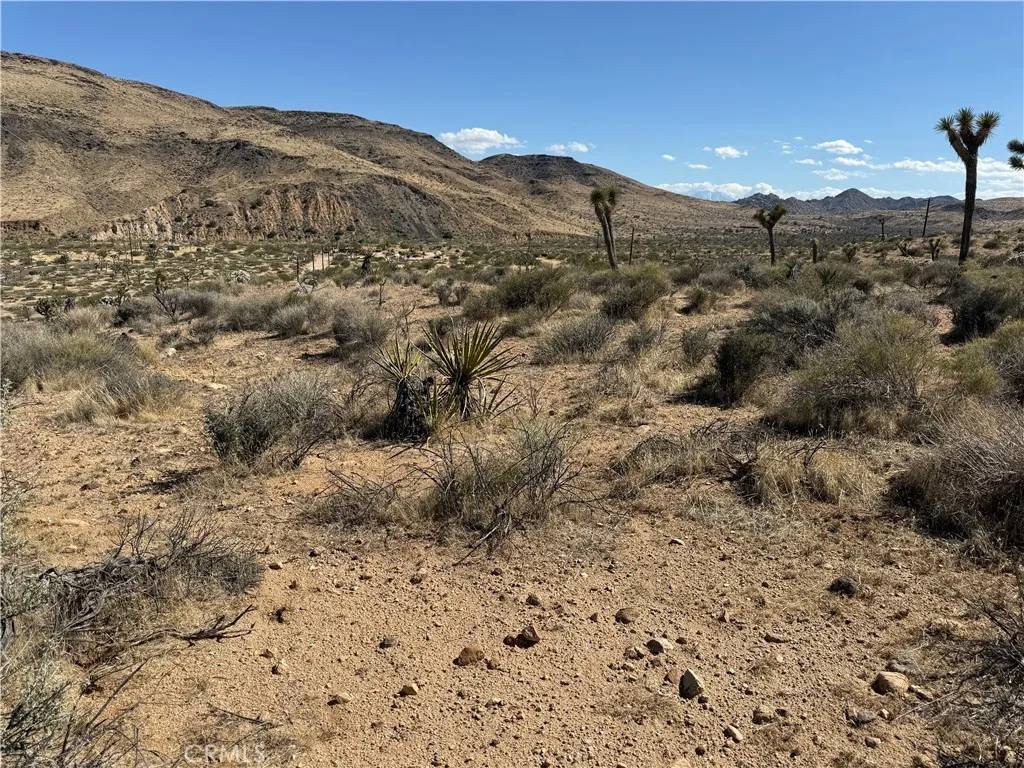 Pioneertown, CA 92284,55138 Pipes Canyon