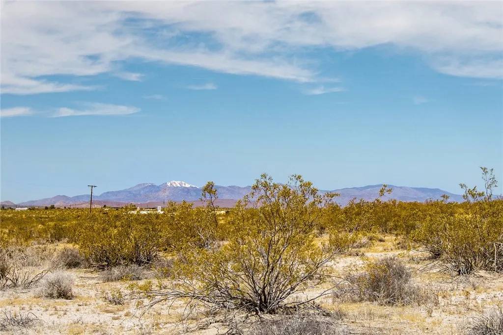 Joshua Tree, CA 92252,2830 Polaris