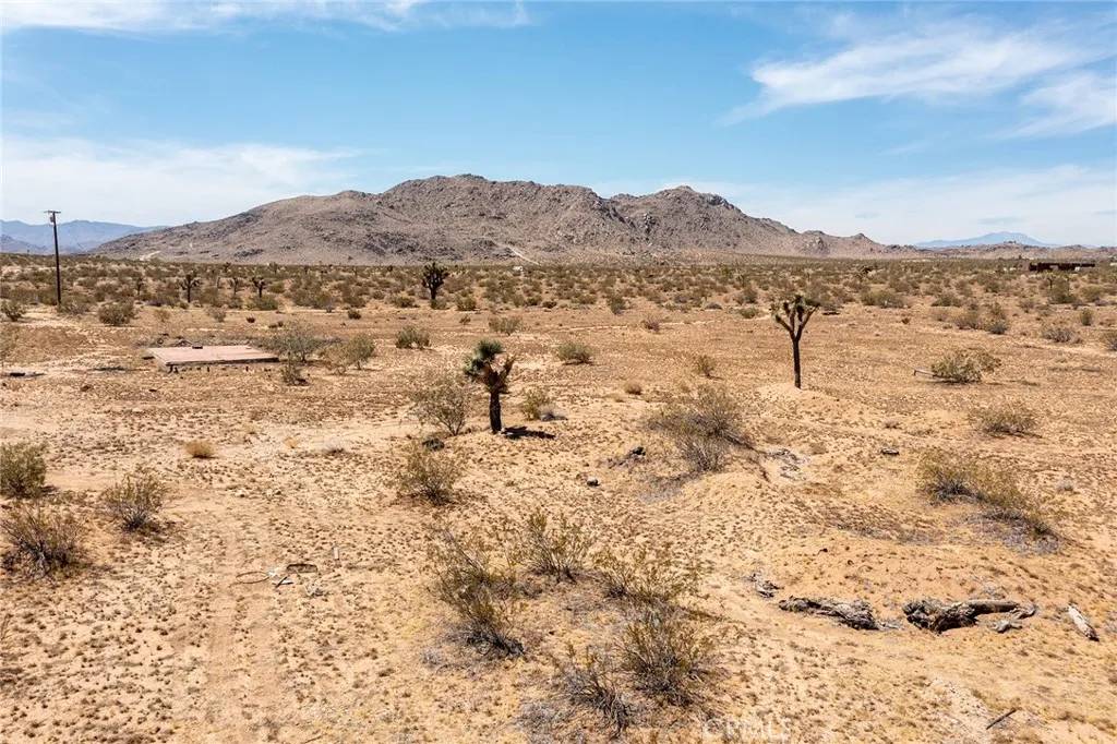 Joshua Tree, CA 92252,4444 Cielito