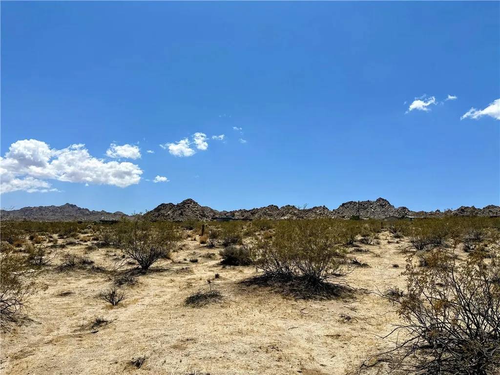 Joshua Tree, CA 92252,64200 Sullivan