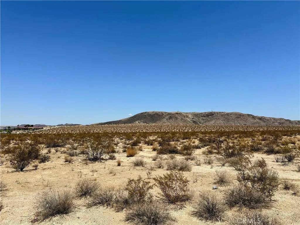 Joshua Tree, CA 92252,66500 29 Palms