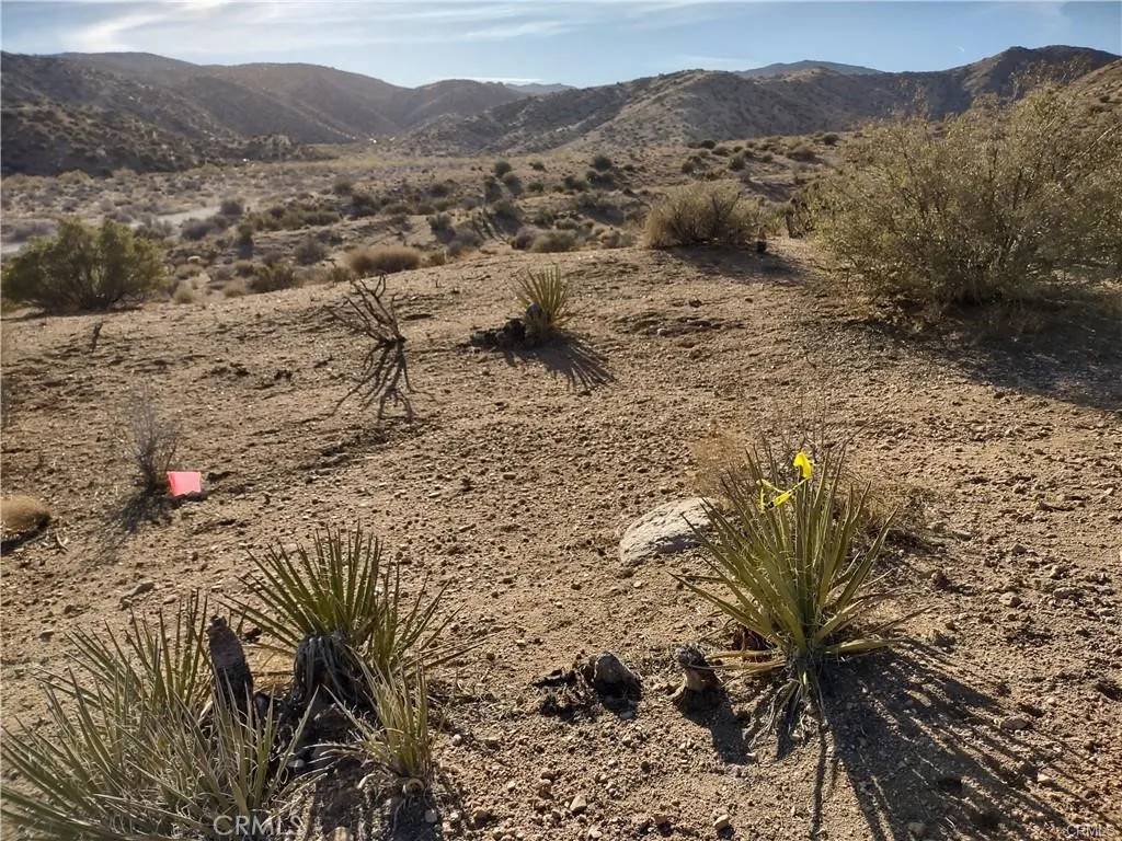Pioneertown, CA 92252,50565 BURNS CANYON