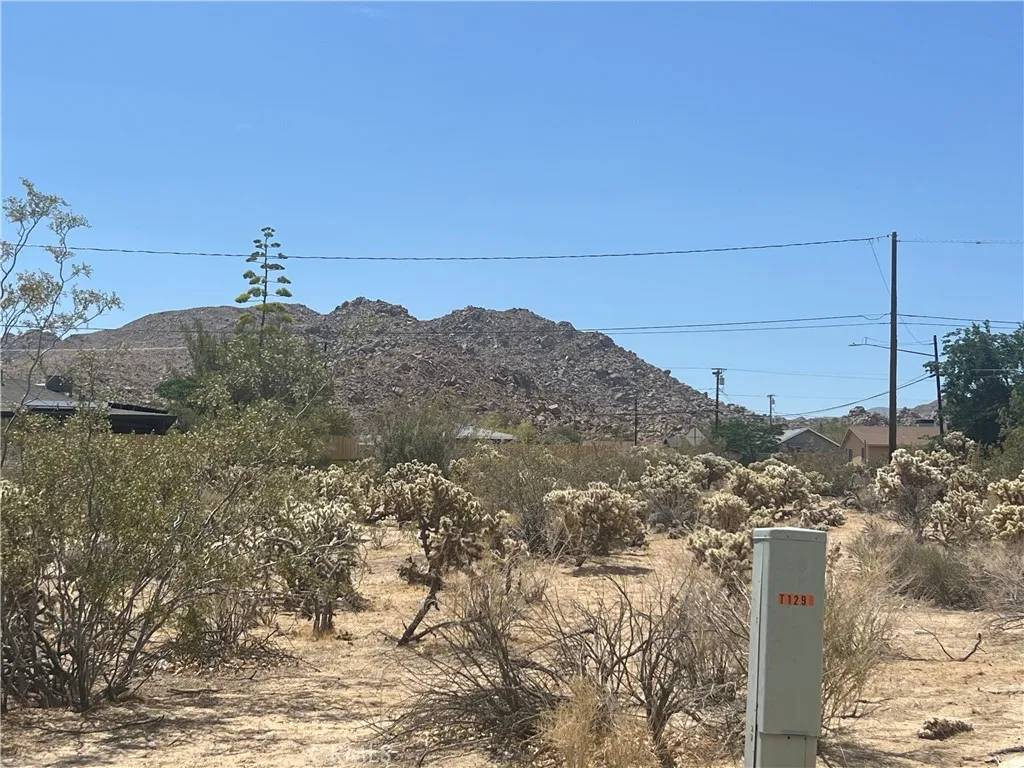 Joshua Tree, CA 92252,61891 El Reposo