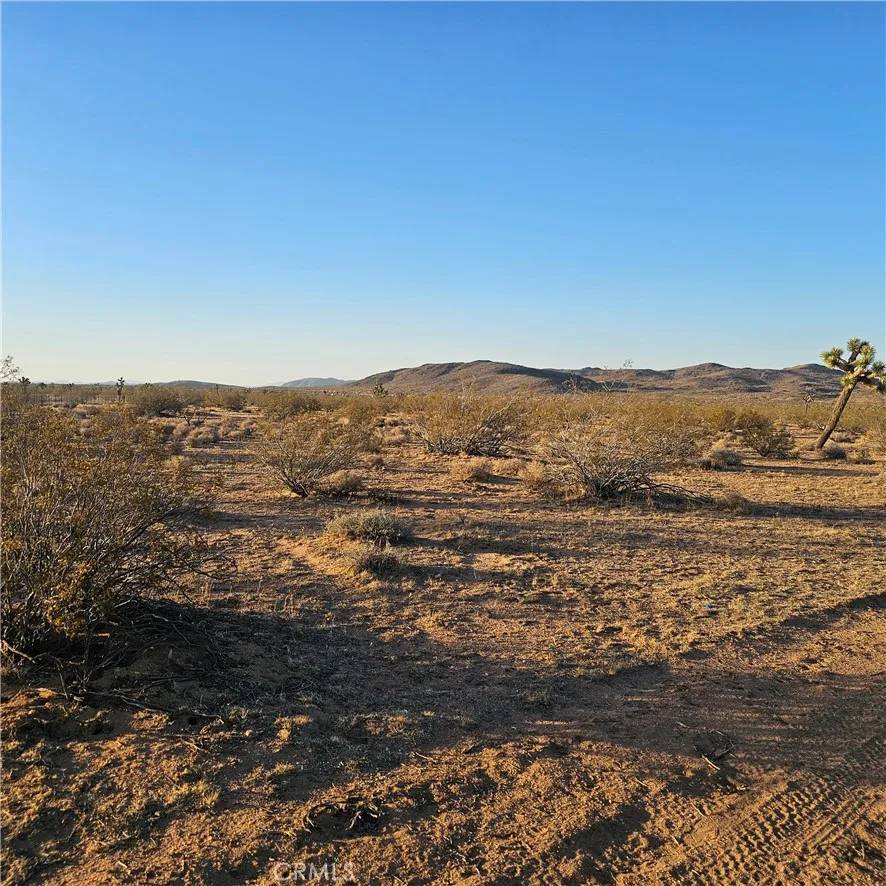 Yucca Valley, CA 92284,1234 El Rancho