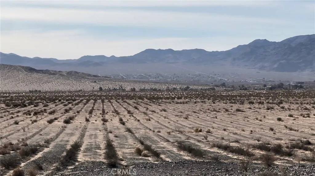 29 Palms, CA 92277,0 Bagdad