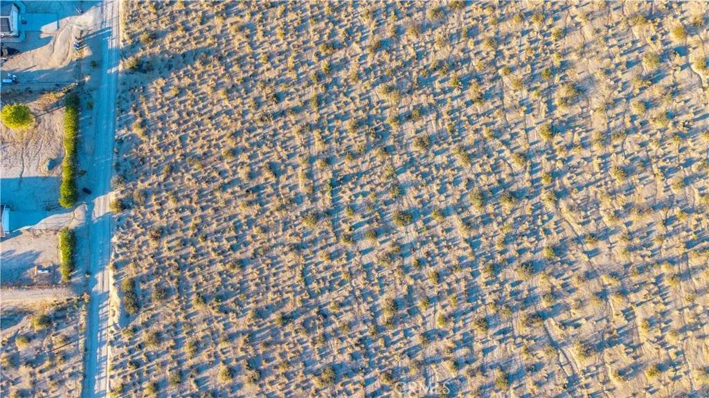 29 Palms, CA 92277,6667 Peterson