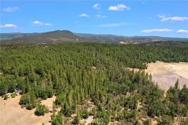 Loch Lomond, CA 95461,6736 Harrington Flat