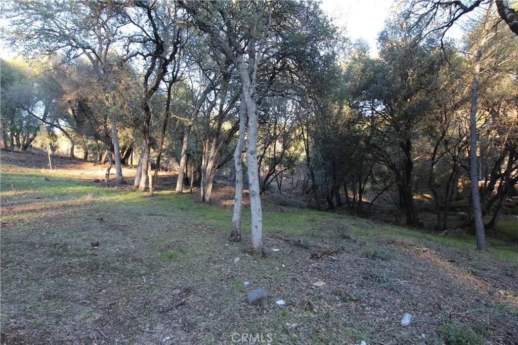 Clearlake, CA 95422,6157 Armijo
